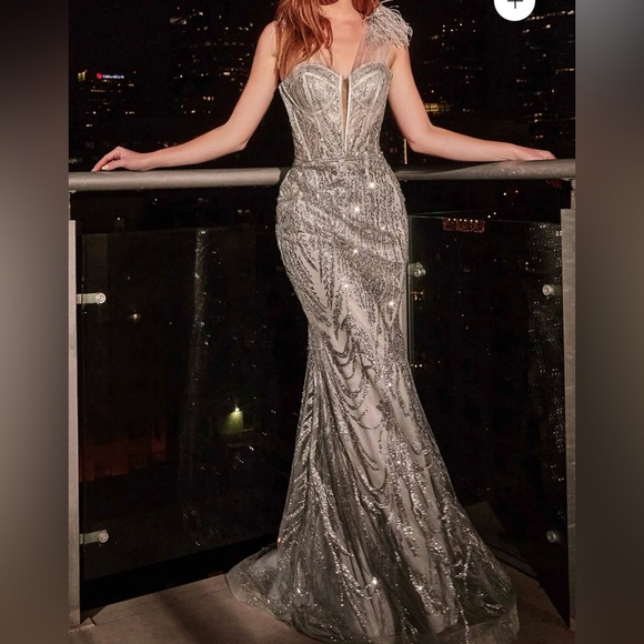 Elegant Silver Evening Gown - Picture 1 of 2